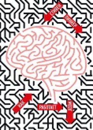 обложка книги Как работает мозг. - Стивен Пинкер
