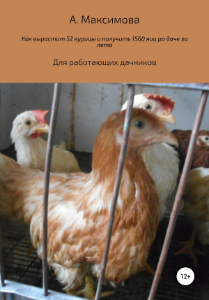 обложка книги Как вырастить 52 курицы и получить 1560 яиц на даче за лето. Для работающих дачников - Александра Максимова