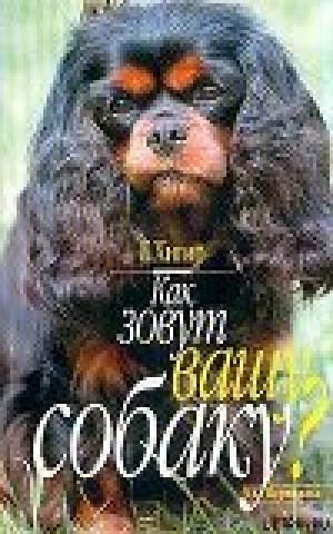 обложка книги Как зовут вашу собаку - Борис Хигир