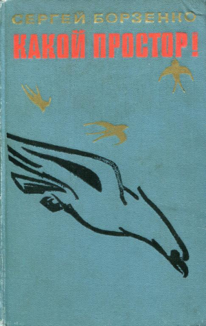 обложка книги Какой простор! Книга первая: Золотой шлях - Сергей Борзенко