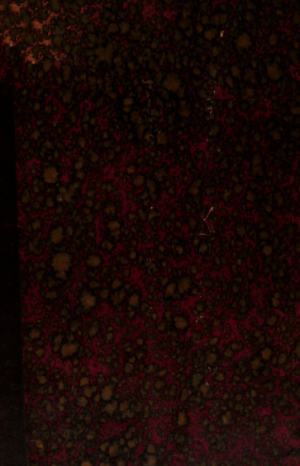 обложка книги Кавказские этюды - Евгений Вейденбаум