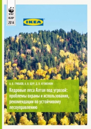 обложка книги Кедровые леса Алтая под угрозой. Проблемы охраны и использования, рекомендации по устойчивому лесоуправлению - авторов Коллектив