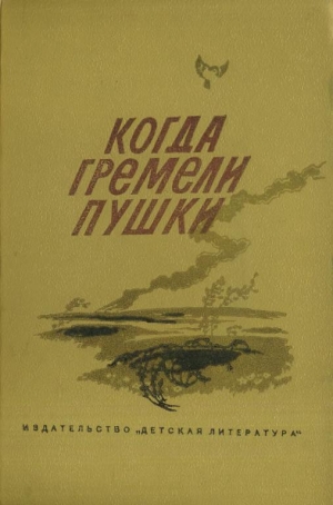обложка книги Когда гремели пушки - Александр Шалимов