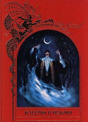 обложка книги Колдуны и ведьмы - Брендон Лейан