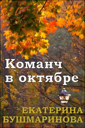 обложка книги Команч в октябре - Екатерина Бушмаринова