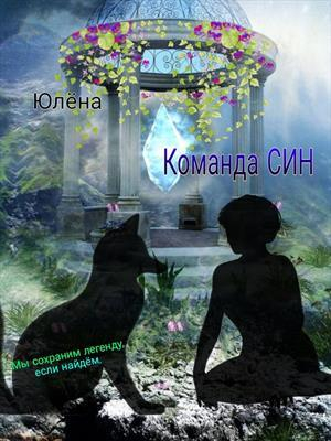 обложка книги Команда Син или, А вы как думали? (СИ) - Юлёна
