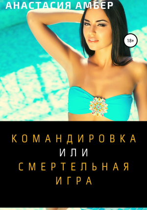 обложка книги Командировка - Анастасия Амбер