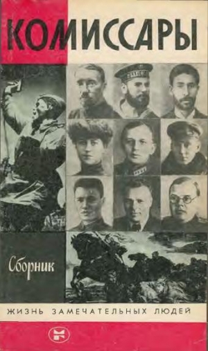 обложка книги Комиссары - Н. Пупышев