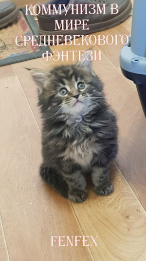 обложка книги Коммунизм в мире средневекового фэнтези (СИ) - Fenfex