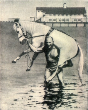 обложка книги Конь на белом принце (СИ) - Анна Семироль