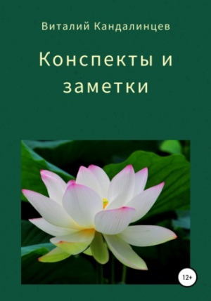 обложка книги Конспекты и заметки (СИ) - Виталий Кандалинцев