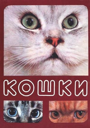 обложка книги Кошки - Николай Непомнящий