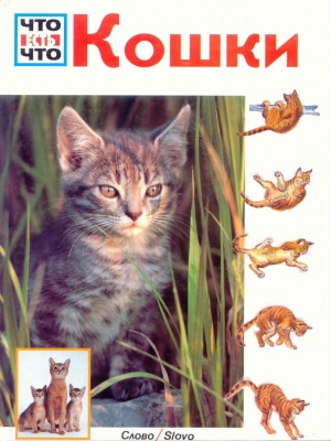 обложка книги Кошки - Райнер Кете