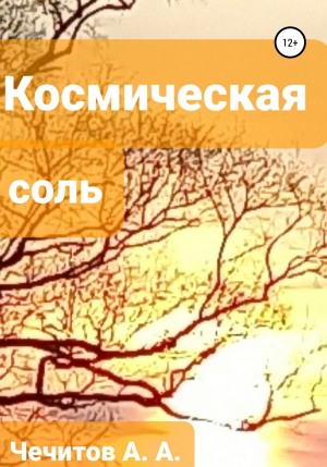 обложка книги Космическая соль - Александр Чечитов