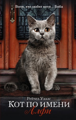 обложка книги Кот по имени Алфи - Рейчел Уэллс