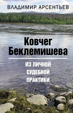 обложка книги Ковчег Беклемишева. Из личной судебной практики - Владимир Арсентьев