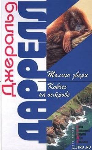 обложка книги Ковчег на острове - Джеральд Даррелл