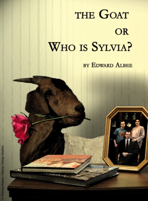 обложка книги Коза или кто такая Сильвия? - Эдвард Олби