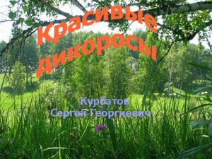 обложка книги Красивые дикоросы - Сергей Курбатов