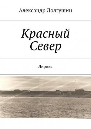 обложка книги Красный Север - Александр Долгушин