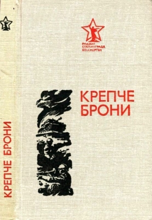 обложка книги Крепче брони - Павел Толстобров