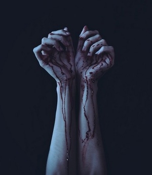 обложка книги Кровь на моих руках (СИ) - Елизавета Ченцова