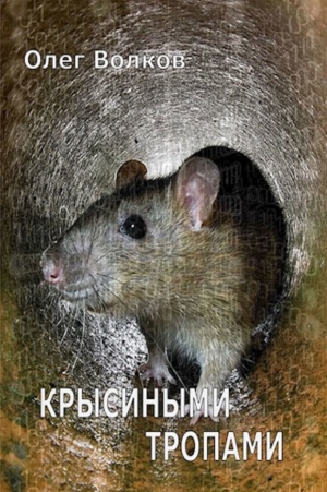 обложка книги Крысиными тропами (СИ) - Олег Волков
