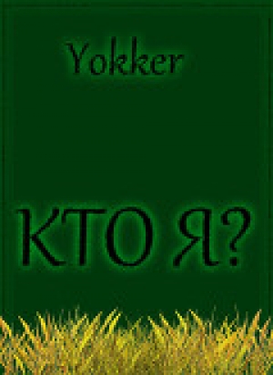 обложка книги Кто я? (СИ) - Yokker