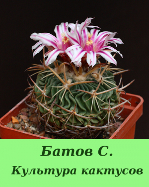 обложка книги Культура кактусов - Сергей Батов