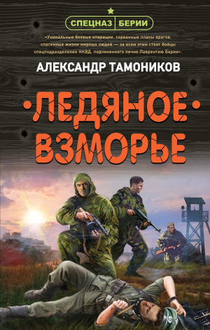 обложка книги Ледяное взморье - Александр Тамоников