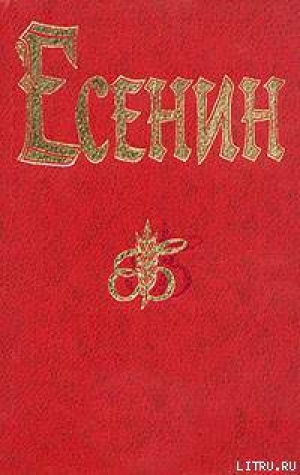 обложка книги Ленин - Сергей Есенин