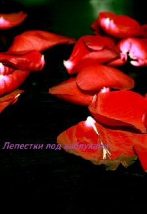 обложка книги Лепестки под каблуками (СИ) - Awelina