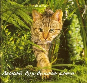 обложка книги Лесной дух дикого кота (СИ) - cat л.с.а