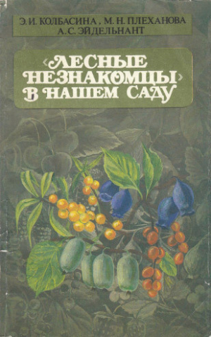 обложка книги Лесные незнакомцы в нашем саду - Лора Вандеркамп