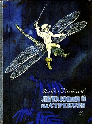 обложка книги Летающий на стрекозе - Павел Катаев