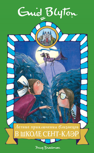 обложка книги Летние приключения близнецов в школе Сент-Клэр - Энид Блайтон