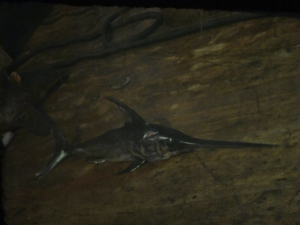 обложка книги Любовь, верность и самопожертвование в подводном мире - Владимир Коркош