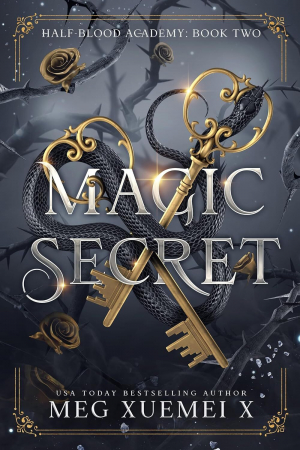 обложка книги Магическая тайна (ЛП) - Мэг Сюэмэй Икс