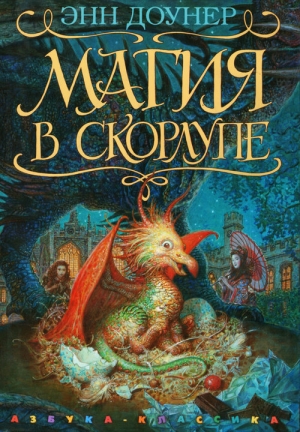 обложка книги Магия в скорлупе - Энн Доунер