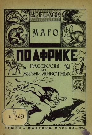 обложка книги Маго - А. Чеглок
