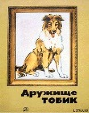 обложка книги Мальчик и две собаки - Станислав Романовский