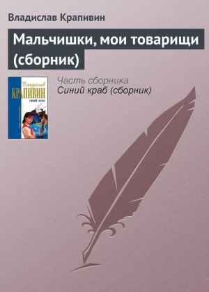 обложка книги Мальчишки, мои товарищи - Владислав Крапивин