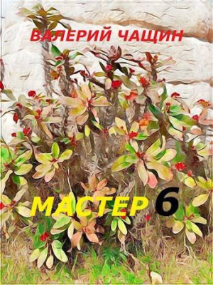 обложка книги Мастер 6 (СИ) - Валерий Чащин