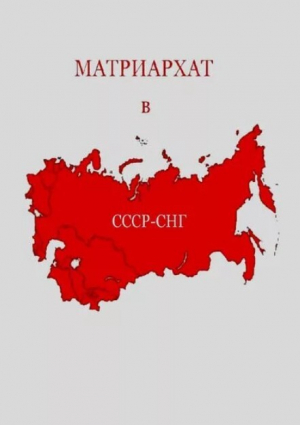 обложка книги Матриархат в СССР - СНГ - Алексей Гончаров