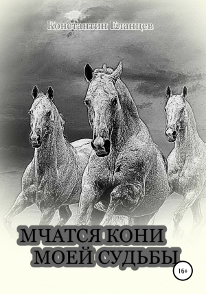 обложка книги Мчатся кони моей судьбы - Константин Еланцев
