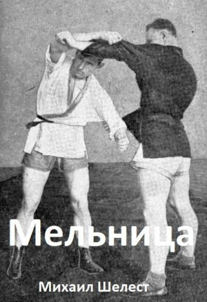 обложка книги Мельница 3 (СИ) - Михаил Шелест