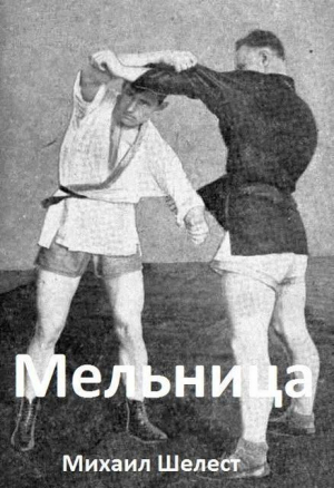 обложка книги Мельница 4 (СИ) - Михаил Шелест