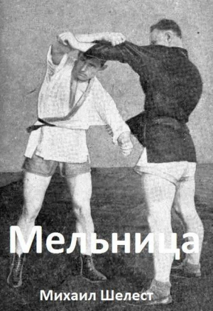 обложка книги Мельница 5 (СИ) - Михаил Шелест
