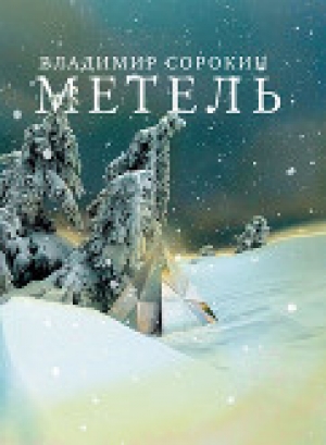 обложка книги Метель - Владимир Сорокин