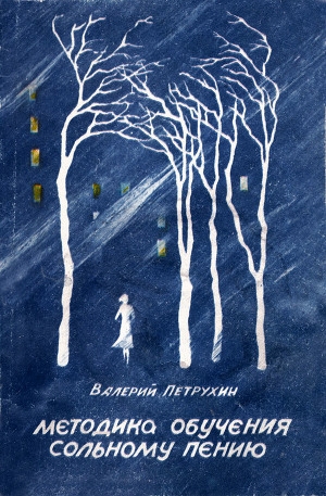 обложка книги Методика обучения сольному пению - Валерий Петрухин